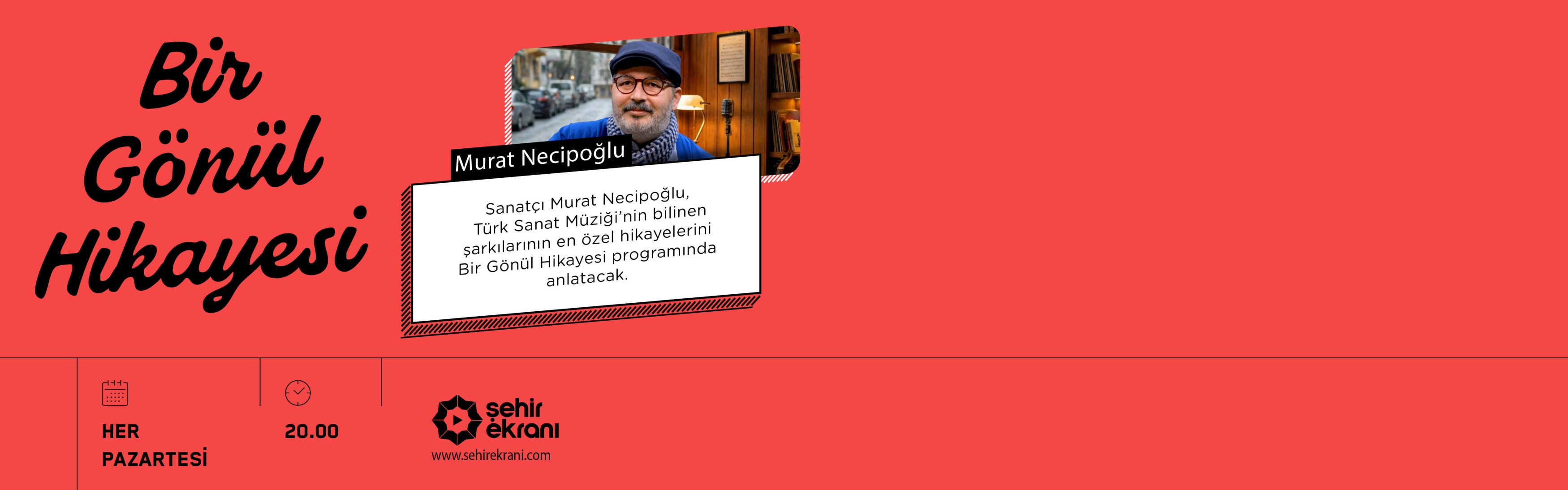 Şehir Ekranı: Necipoğlu